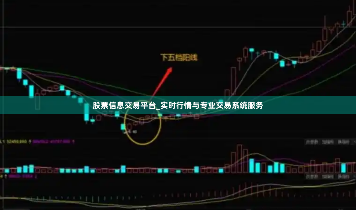 股票信息交易平台_实时行情与专业交易系统服务